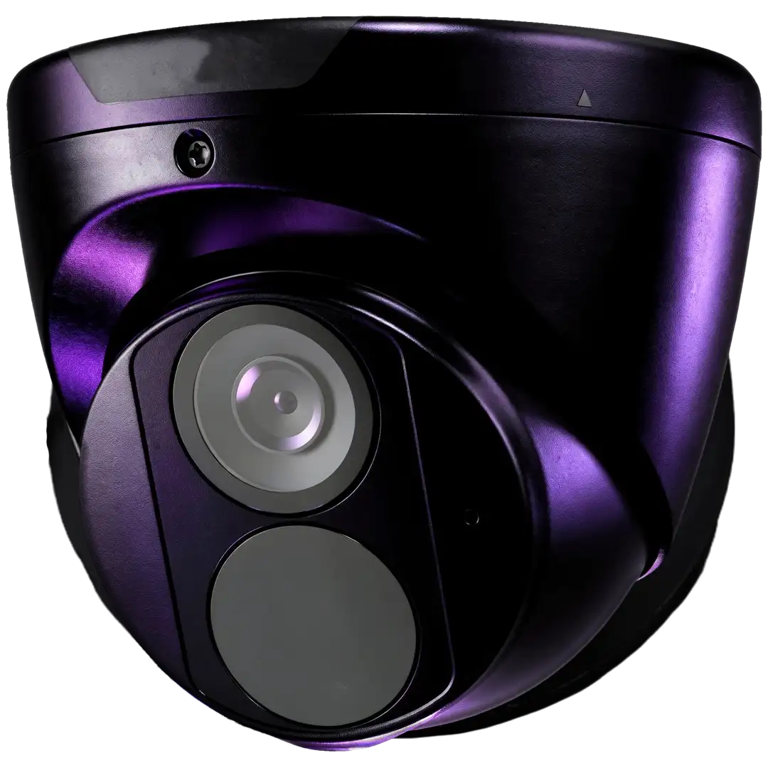 Dome surveillance camera