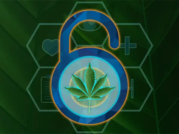 Cannabis Dispensary Security Systems in Philadelphia
